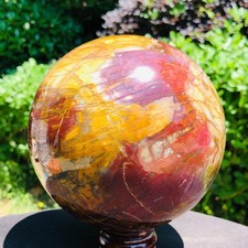 6.86 LB Large Natural Petrified Wood Agate Sphere Crystal Healing Specimen 5675 picture