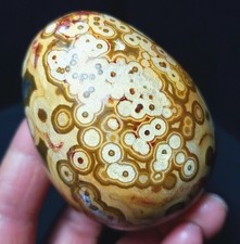 157.7G Natural Polished Orbicular Ocean Jasper 8th Vein Reiki Egg Healing B1578 picture