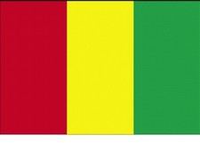 GUINEA FLAG - NEW 3 x 2 FT - COUNTRY NATIONAL picture