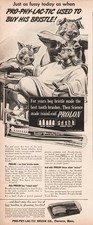 1943 Pro-Phy-Lac-Tic Brush Florence MA Prophylactic Toothbrush Hog Manicure Ad picture
