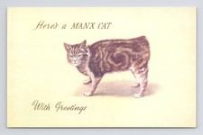 Here's A Manx Cat Antique Postcard Printed In Great Britain Circa Early 1900s picture