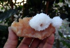 SCOLECITE Flowers On STILBITE Base FORMATION Minerals A-4.24 picture