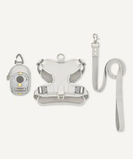 Starbucks Korea Exclusive Your Summer Pet Dog Harness & Mini Backpack Set picture