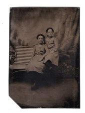 1880s 1890 Gilded Age Sisters Bench Castle Flowers 1/6 Plate Tintype picture