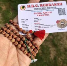 LAB CERTIFIED Rare 4 Mukhi RUDRAKSHA Rudraksh Mala ROSARY 108+1 Prayer Beads picture