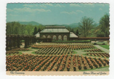 The Conservatory At Biltmore House And Gardens Ashville, North Carolina Postcard picture