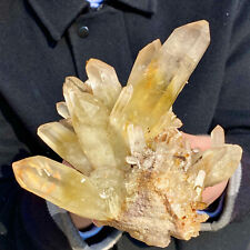 3.5LB Natural Citrine cluster mineral specimen quartz crystal healing picture