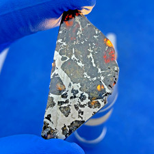 7.3gm Seymchan Pallasite iron meteorite specimen slab suit for DIY LZ074 picture