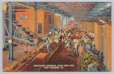 Antique New Orleans c.1930s Banana Unloading from Ship Factory Workers Postcard picture