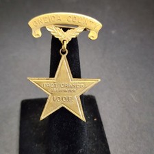 Vintage IOOF Past Grands Association Oneida County NY Medal Pin Badge picture