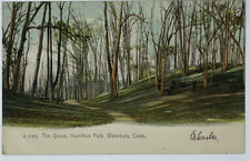 1909 The Grove Hamilton Park Waterbury Connecticut CT Rotograph Postcard￼ picture