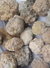 Unopened Geodes Large Variety Mixed  Natural Quartz Kentucky Crystal 20Lbs Bulk picture