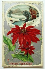 New Year Postcard Antique 1910 Poinsettia  picture