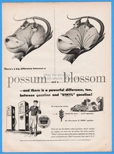 1951 Ethyl Gasoline Service Station Difference Between a Possum and a Blossom Ad picture