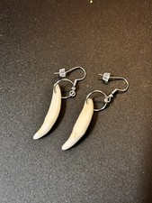 Coyote tooth earrings Native American Made picture