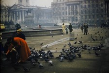 c1950's Kodachrome 35mm Slide, Trafalgar Square London Pigeons St Martin Church picture
