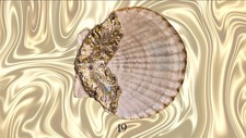 Decoupage & Embellished Seashells picture