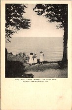 Postcard 1950 Camp Lambec Lake Erie Young Girls Springfield PA D76 picture