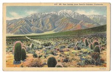 California desert c1930's Mt. San Jacinto from Devil's Garden, barrel cactus picture