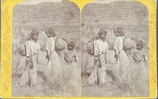 1874 Hillers Stereoview “The Water Carriers” Powell Survey Native American Photo picture