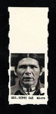 DENNIS BANKS - MICRO ACTIVIST Card W/TAB - OJIBWE ACTIVIST/AUTHOR/EDUCATOR picture