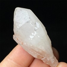 19g RARE Hollandite Star Quartz CRYSTAL Cluster Point&Trapiche Hair S178 picture