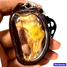 Thai Magic Cat Placenta Amulet Wealth Money Fortune Lucky Talisman Pendant Holy picture