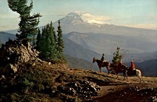 Mount Adams, Washington State, 12,307 feet, Ektachrome by Forest and Postcard picture