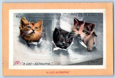 c1910's A Cat Astrophe Newspaper Kittens Animal Unposted Antique Postcard picture