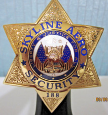 Vintage Skyline Aero Security Pinback picture