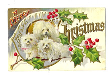 Cute White Fluffy Puppy Dogs & Holly~Vintage Embossed~Christmas Postcard~h641 picture