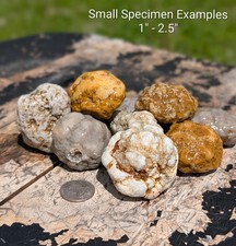 5 lbs Unopened Mixed Geodes - Whole Agate Nodules - Break Your Own - STEM Kit picture