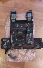 New Ukrainian UA army pounch vest Dubok picture