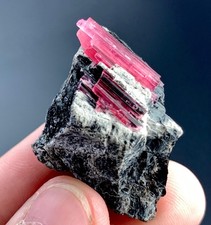 76 Carat Pink Tourmaline Crystal On Smoky Quartz Specimen From Afghanistan picture