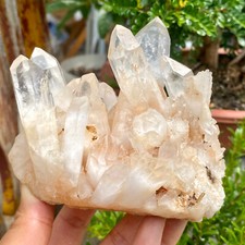 1.26LB  Natural White Clear Quartz Crystal Cluster Rough Healing Specimen. picture