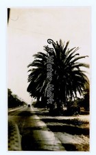1918 On the road to Riverside California Photograph Ca Photo #1 picture
