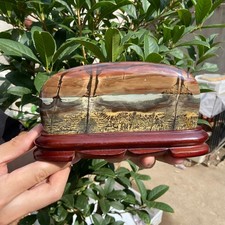 820G   Beautiful Natural Chinese Dendritic Limestone Picture Stone Guohua-Rare picture