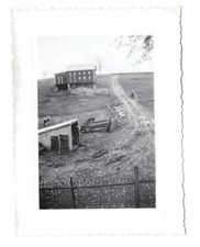 Vintage 1942 B&W Small Photo Farm Barn Cows Dirt Road Landscape Country Life picture