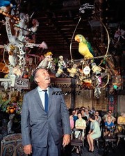 1963 Walt Disney Enchanted Tiki Room 8x10 Color Photo Disneyland Birds Sing Talk picture