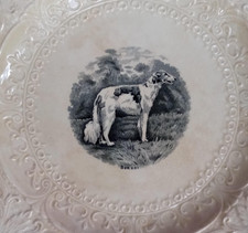 BORZOI DOG PLATE ROYAL CAULDON ENGLAND RIDGEWOOD 12