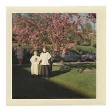 1960s Color Snapshot First Communion Catholic  Pink Tree Vintage Photo picture