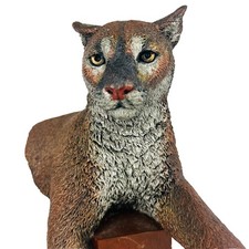 C.A. Pardell Legends Rocky Mountain cougar bronze Statue Sculpture signed picture