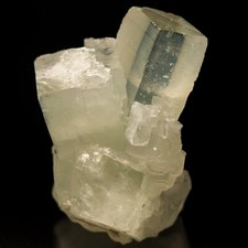 Melanson TN Coll Prehnite Jeffrey Mine, Estrie, Quebec, Canada 1212-6561 picture