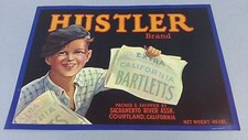 10 Piece Original Vintage Dead Stock Hustler Bartlett Fruit Crate Paper Label picture