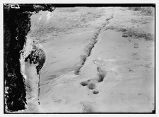 Photo:1927 Earthquake Fault Line Ground?? picture