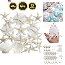 32PCS Starfish and Scallop Shells for Crafts 3