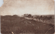 1910s Montana Wool Freighters Wagon Trains Horse Teams Cowboys Postcard RPPC picture