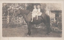 Girls Riding Percheron Horse Farmhouse Rural Antique Photo Vtg Postcard 12A picture