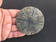 Pyrite Sun Miners Dollar 3