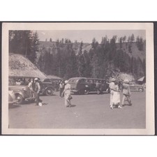 Vintage 1939 Snapshot Photo Yellowstone National Park Touring Buses Wyoming picture